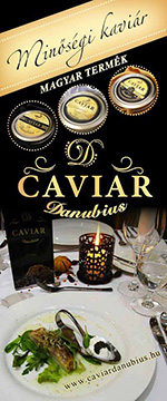 caviardanubius.hu